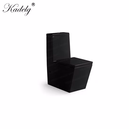 Сиденье для унитаза с принтом из дюропласта / OEM-печать HD пластиковое сиденье для унитаза для отеля / дома